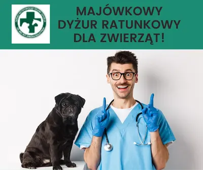 Gabinet Weterynaryjny Zielony Szpitalik